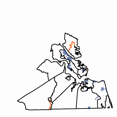 Export Image