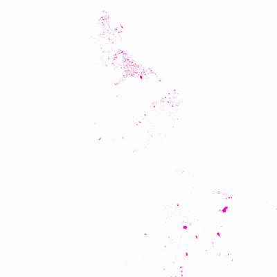 Export Image