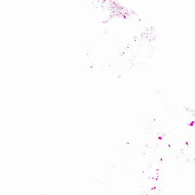 Export Image
