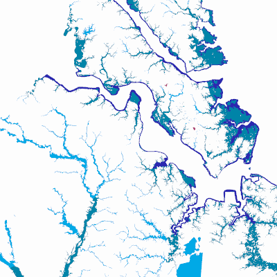 Export Image