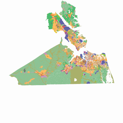 Export Image