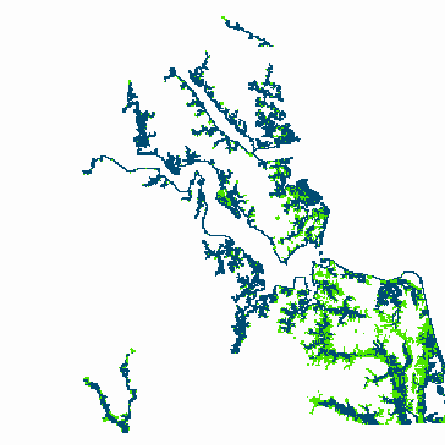 Export Image